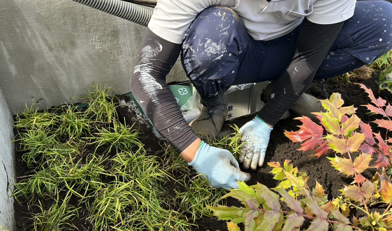 一緒に美しい景観を作りませんか？